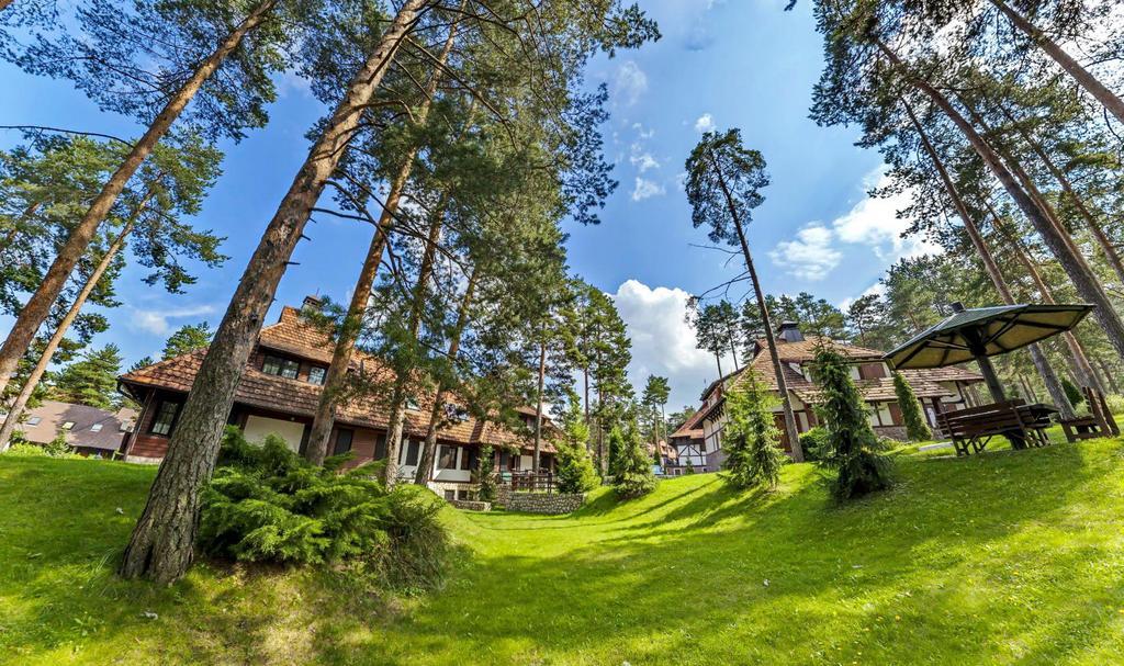 Kraljevi Konaci - Najam Kuca Na Zlatiboru Apartment ภายนอก รูปภาพ