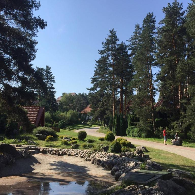Kraljevi Konaci - Najam Kuca Na Zlatiboru Apartment ภายนอก รูปภาพ